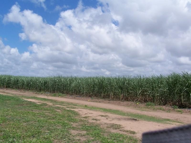 Ayr QLD 4807