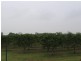 Ayr QLD 4807