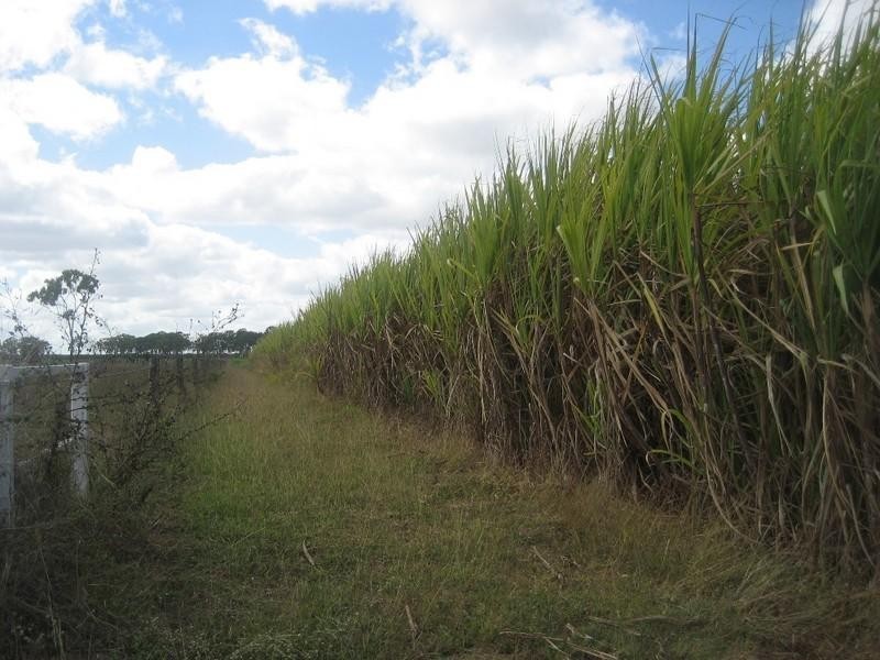 Giru QLD 4809