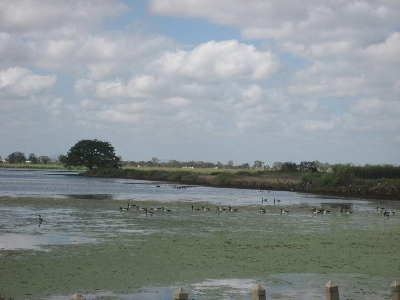 Giru QLD 4809