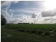 Ayr QLD 4807