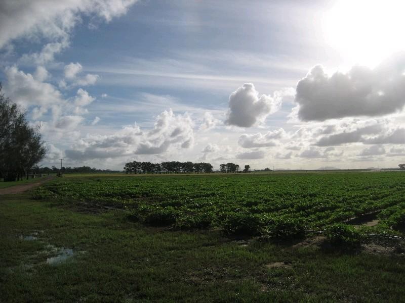 Ayr QLD 4807