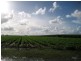 Ayr QLD 4807