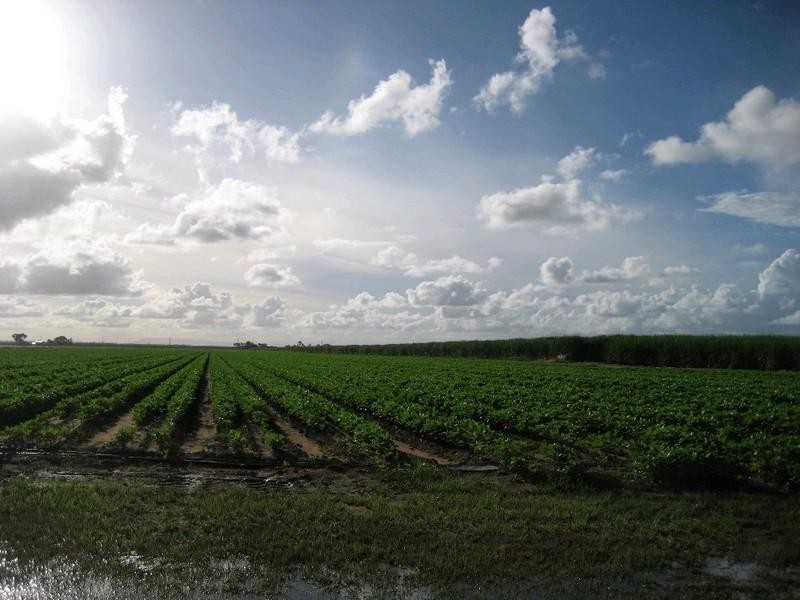 Ayr QLD 4807