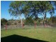 Brandon QLD 4808