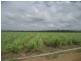 Ayr QLD 4807