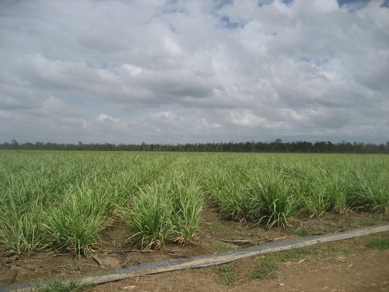 Ayr QLD 4807