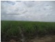 Ayr QLD 4807