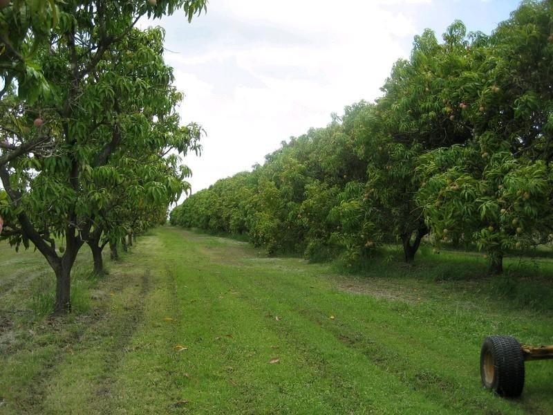 Giru QLD 4809