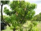 Giru QLD 4809