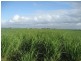 Home Hill QLD 4806