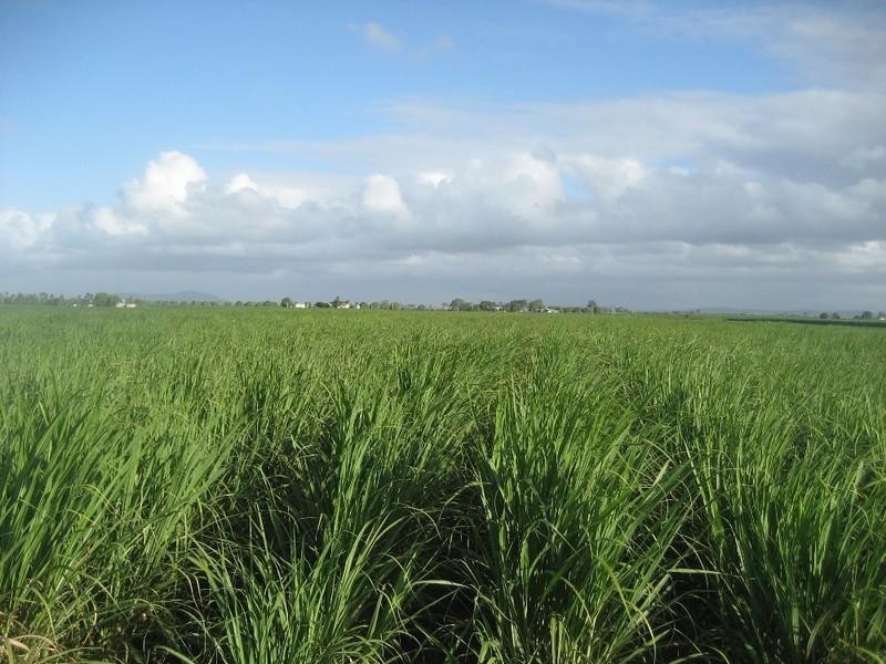 Home Hill QLD 4806