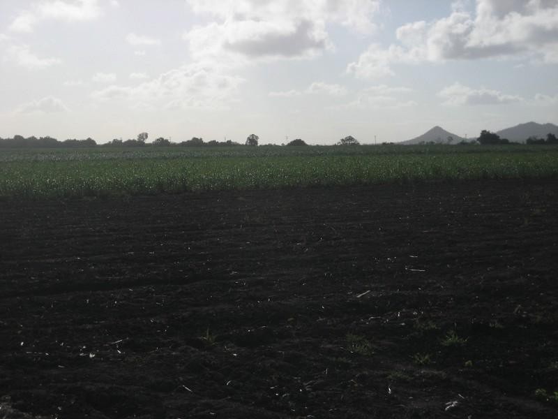 Home Hill QLD 4806