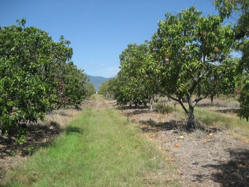 Horseshoe Lagoon QLD 4809