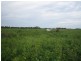 Ayr QLD 4807