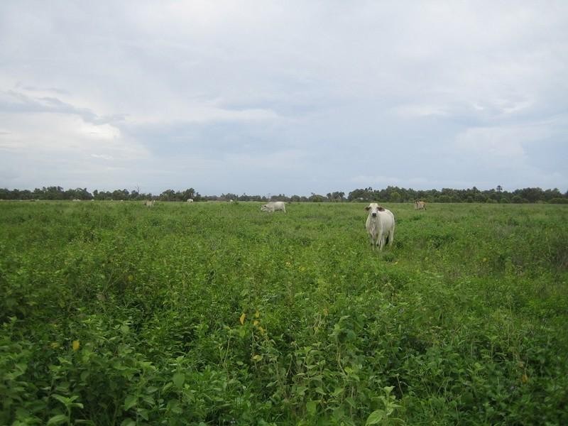 Ayr QLD 4807