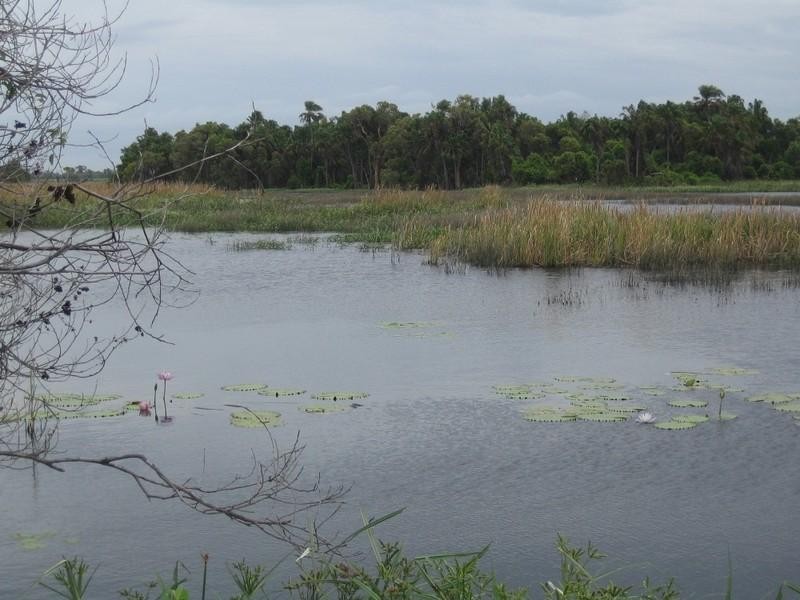 Ayr QLD 4807
