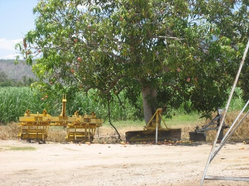 Horseshoe Lagoon QLD 4809