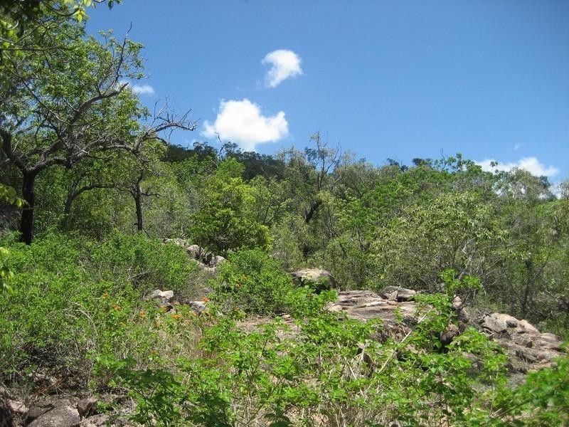 Mount Kelly QLD 4807