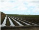 Ayr QLD 4807