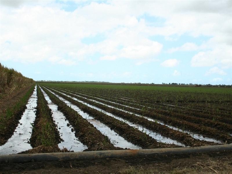 Ayr QLD 4807