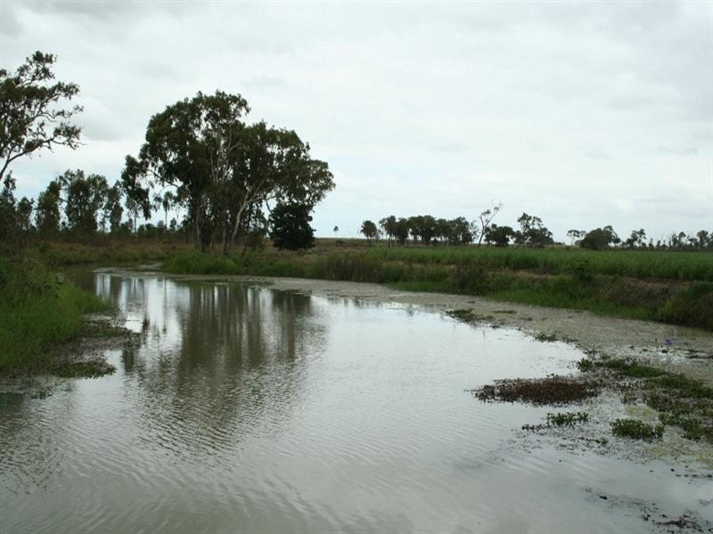 Ayr QLD 4807