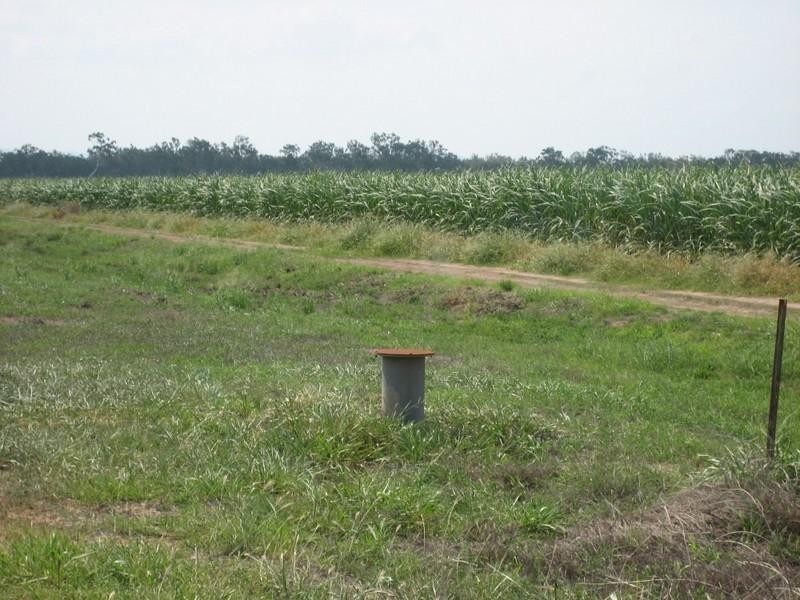 Millaroo QLD 4807