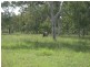 Majors Creek QLD 4816