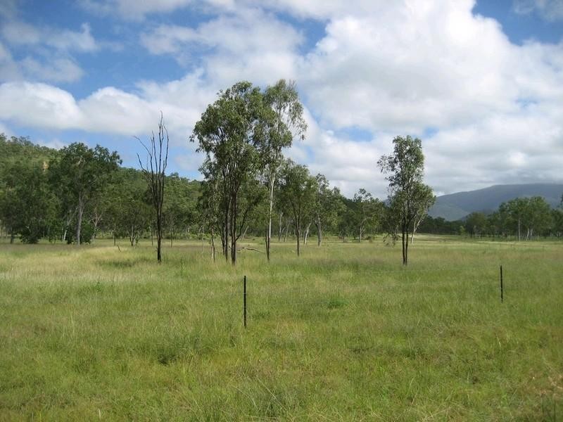 Majors Creek QLD 4816