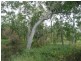 Majors Creek QLD 4816