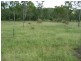 Majors Creek QLD 4816