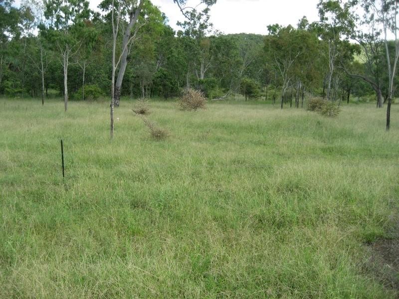 Majors Creek QLD 4816