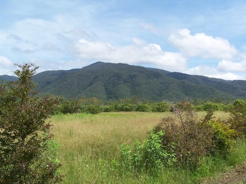 Majors Creek QLD 4816