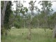 Majors Creek QLD 4816