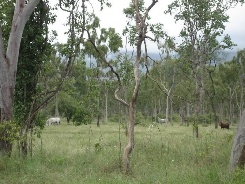 Majors Creek QLD 4816
