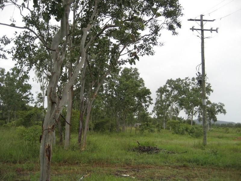 Majors Creek QLD 4816