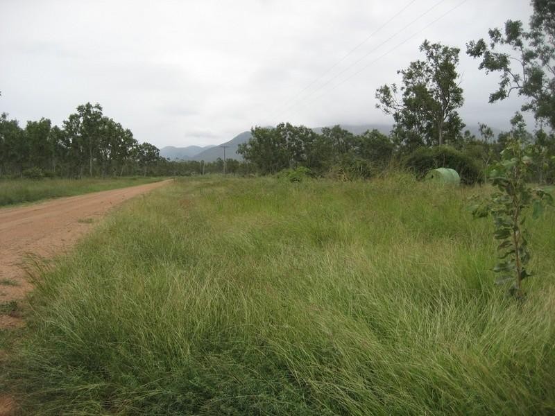 Majors Creek QLD 4816