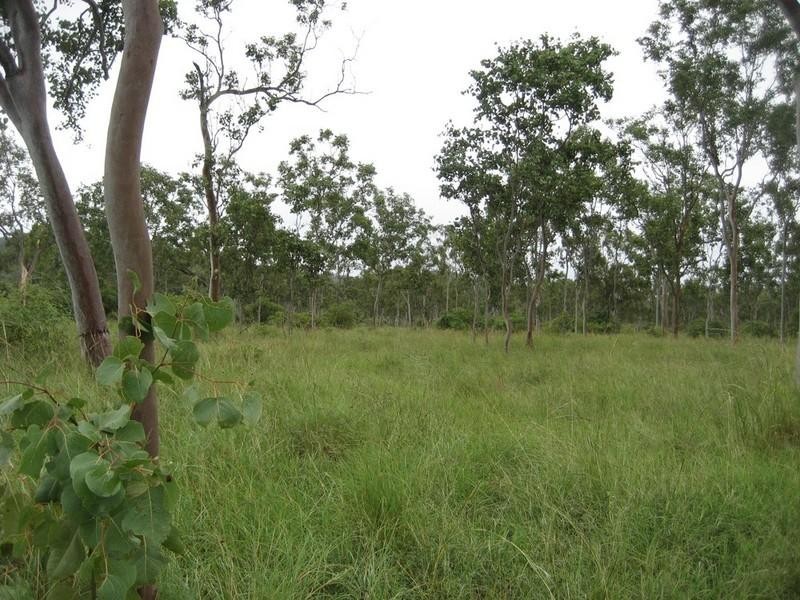 Majors Creek QLD 4816