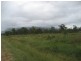 Majors Creek QLD 4816