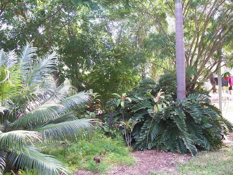 Ayr QLD 4807