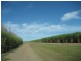 Ayr QLD 4807