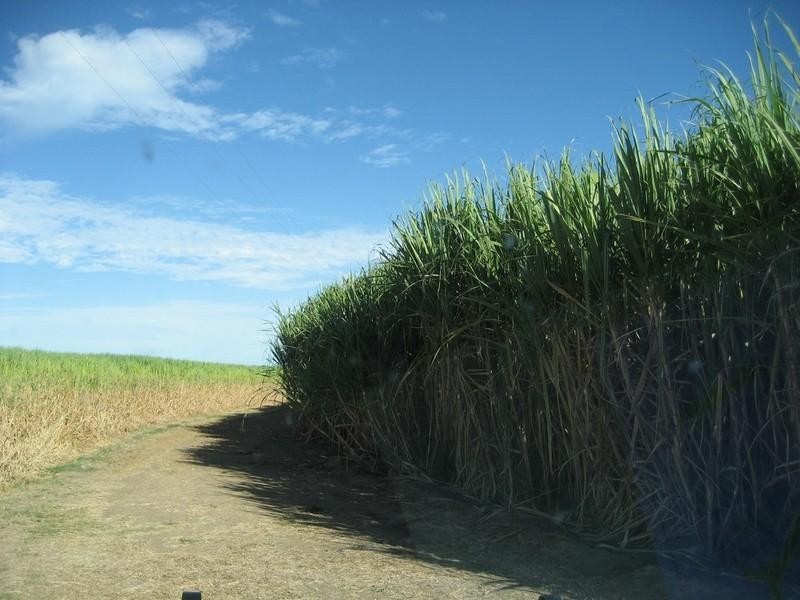 Ayr QLD 4807
