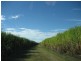 Ayr QLD 4807