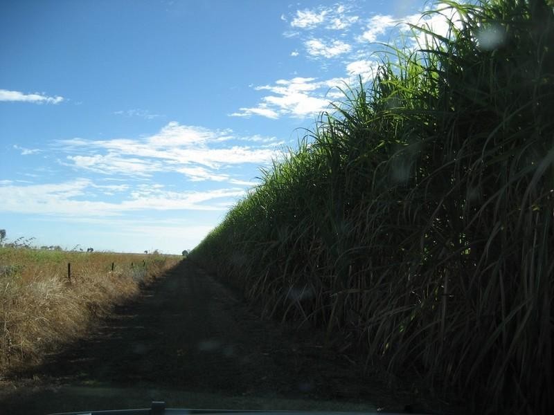 Ayr QLD 4807