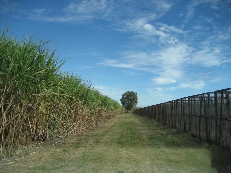Ayr QLD 4807