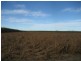 Ayr QLD 4807