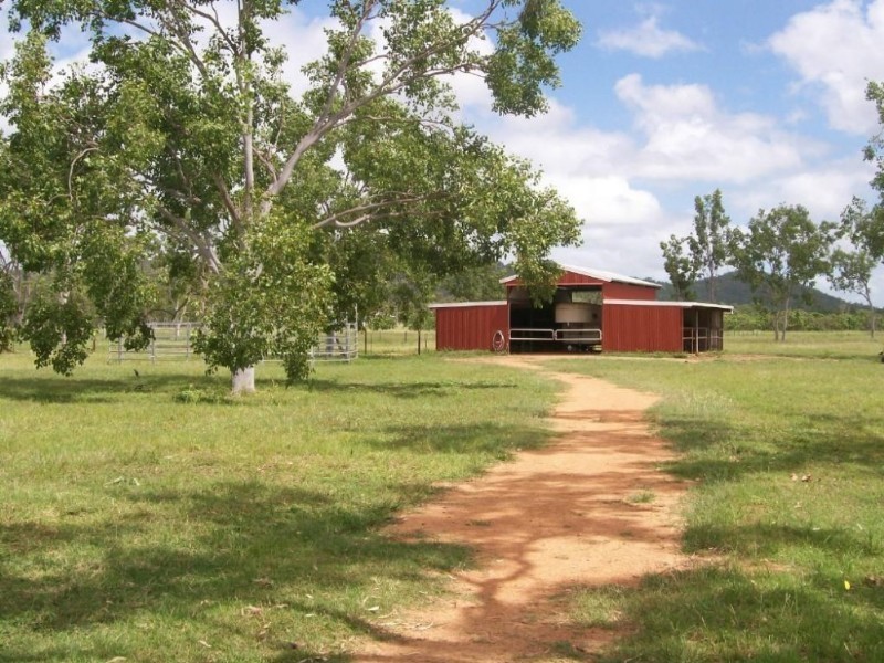 Majors Creek QLD 4816