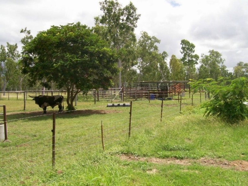 Majors Creek QLD 4816