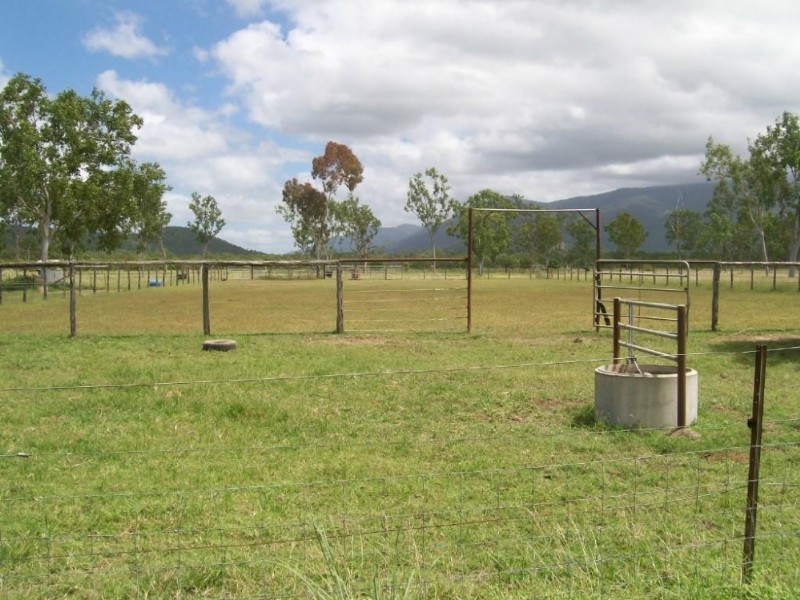 Majors Creek QLD 4816