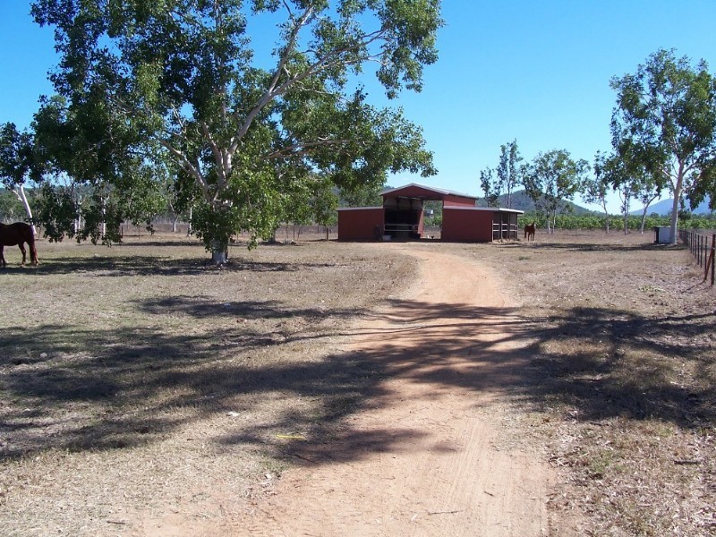 Majors Creek QLD 4816